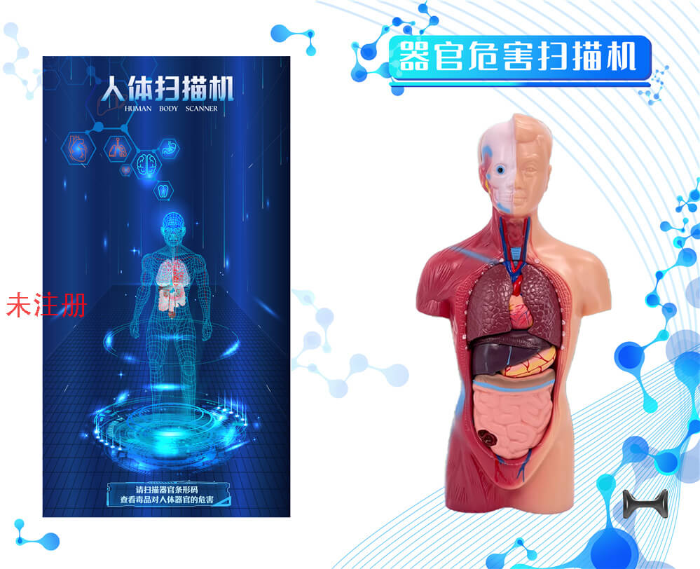 器官危害扫描科普设备
