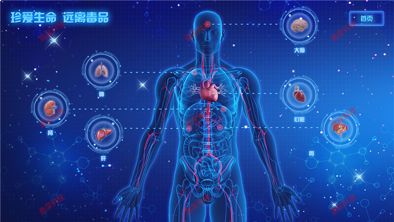 吸毒的危害模拟互动系统