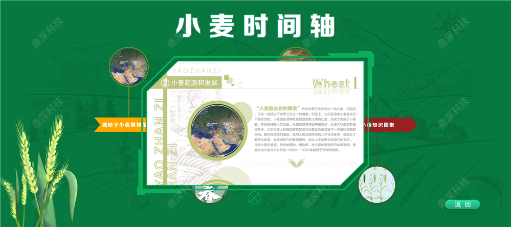 企业发展历程展示软件