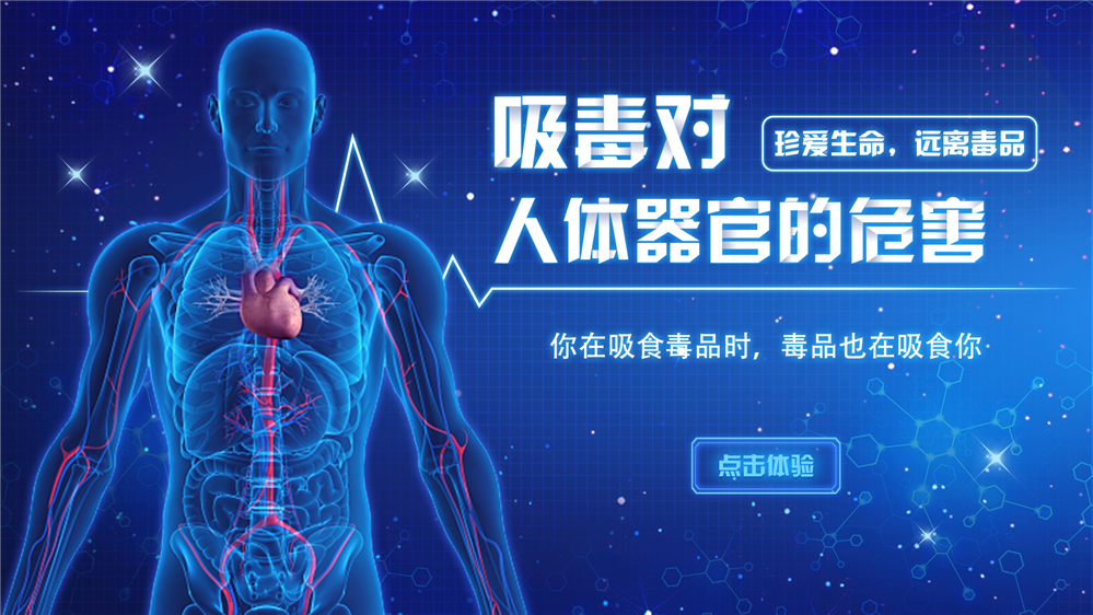 吸毒对人体器官的危害体验系统 吸毒对人体器官