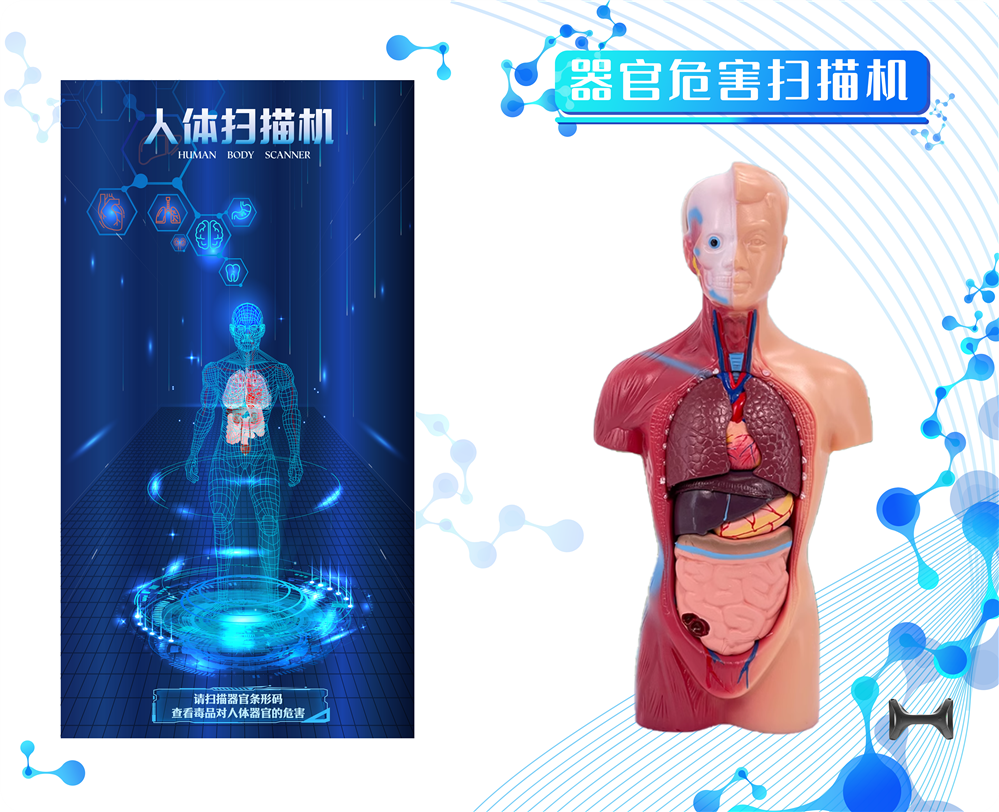 器官危害扫描机 禁毒知识互动学习装置