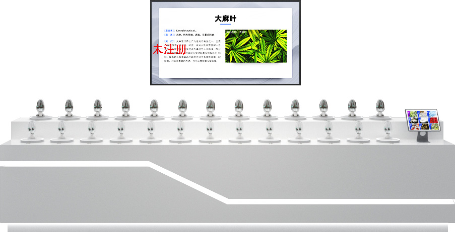 禁毒模型感应科普系统-毒品模型感应学习系统