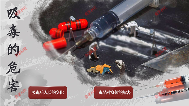吸毒的危害模拟系统 吸毒的危害学习系统 禁毒教